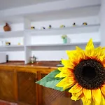Rentalsevilla Un Oasis En El Centro De Sevilla