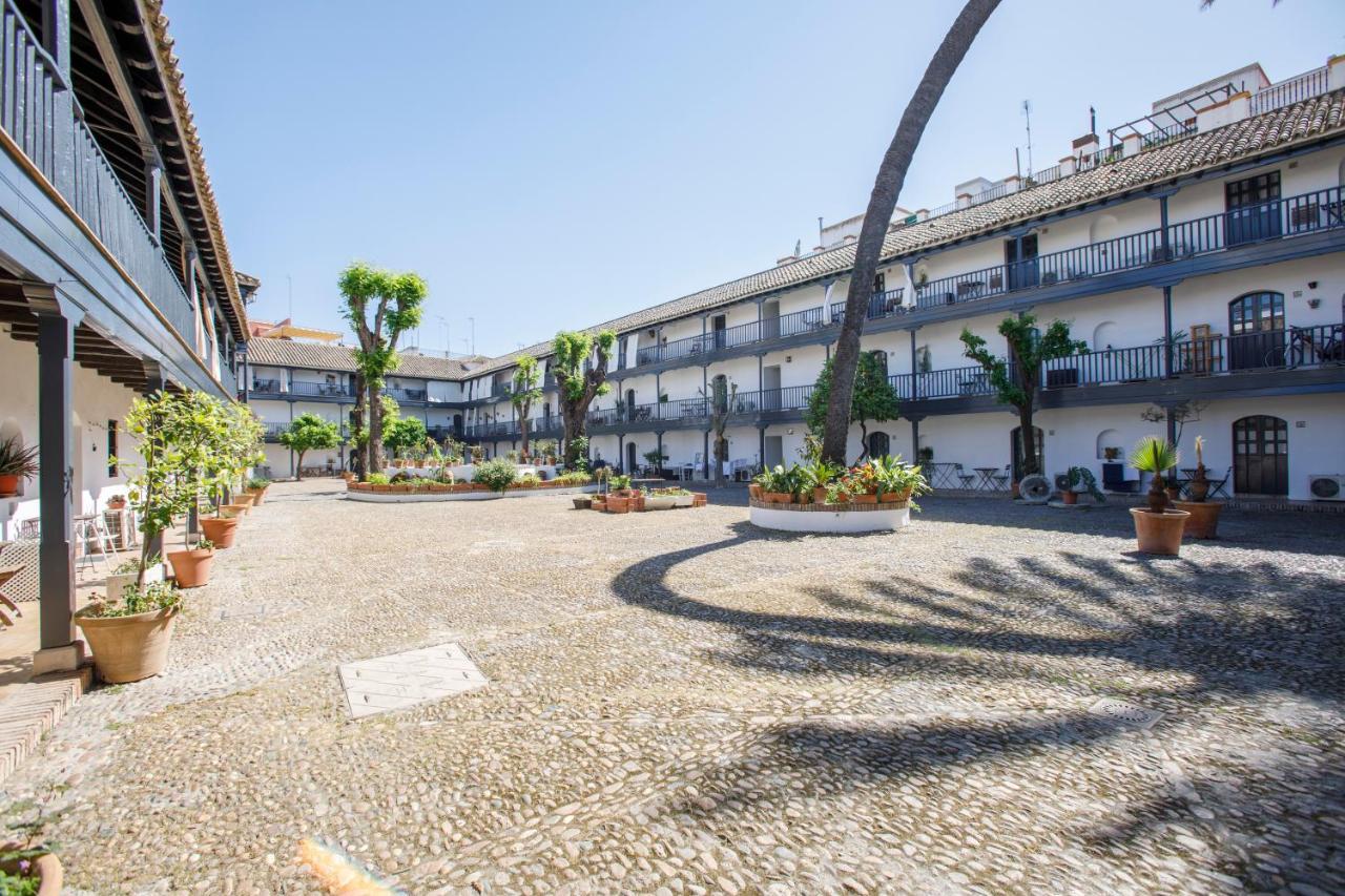 Rentalsevilla Un Oasis En El Centro De *