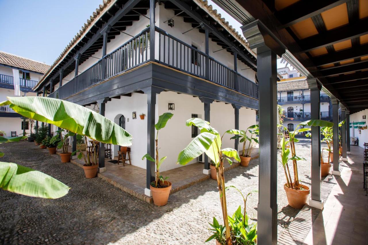 Rentalsevilla Un Oasis En El Centro De
