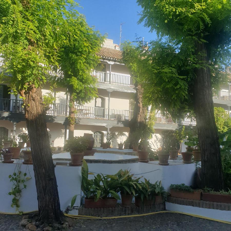 Rentalsevilla Un Oasis En El Centro De Apartment