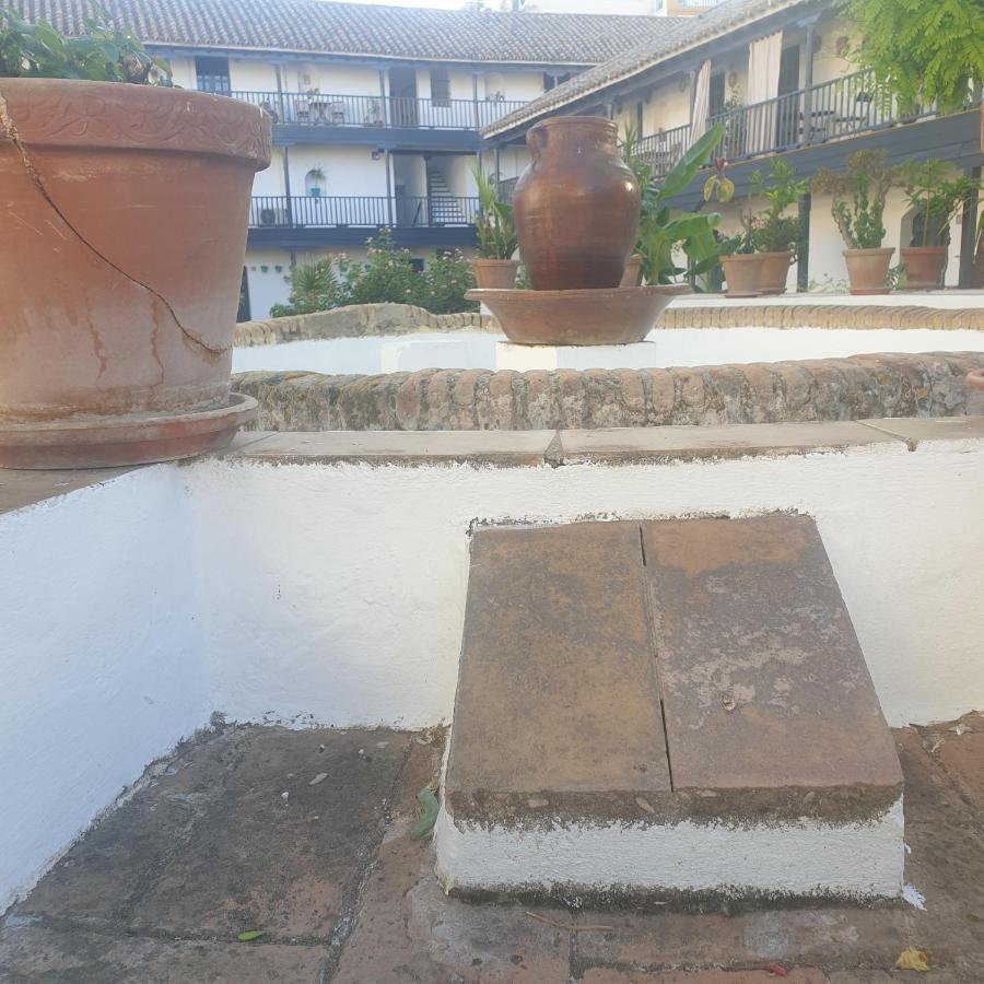 Rentalsevilla Un Oasis En El Centro De