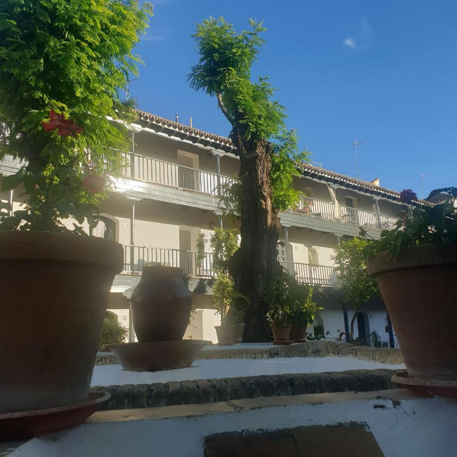 Rentalsevilla Un Oasis En El Centro De Appartement *