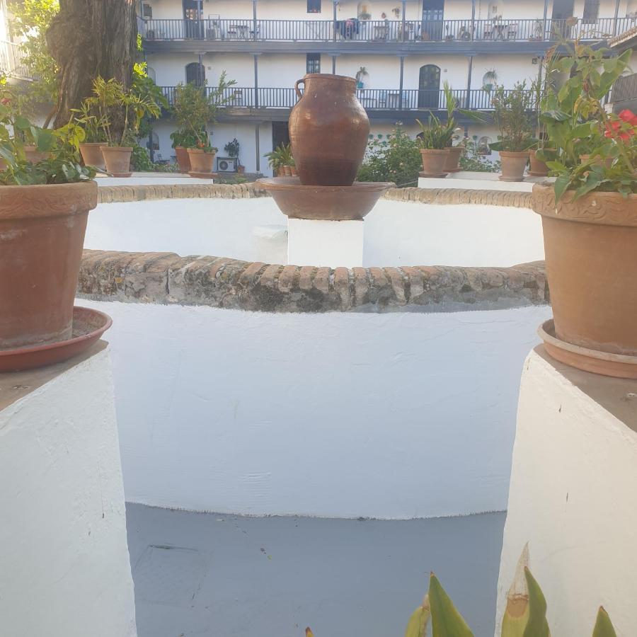 Rentalsevilla Un Oasis En El Centro De Séville