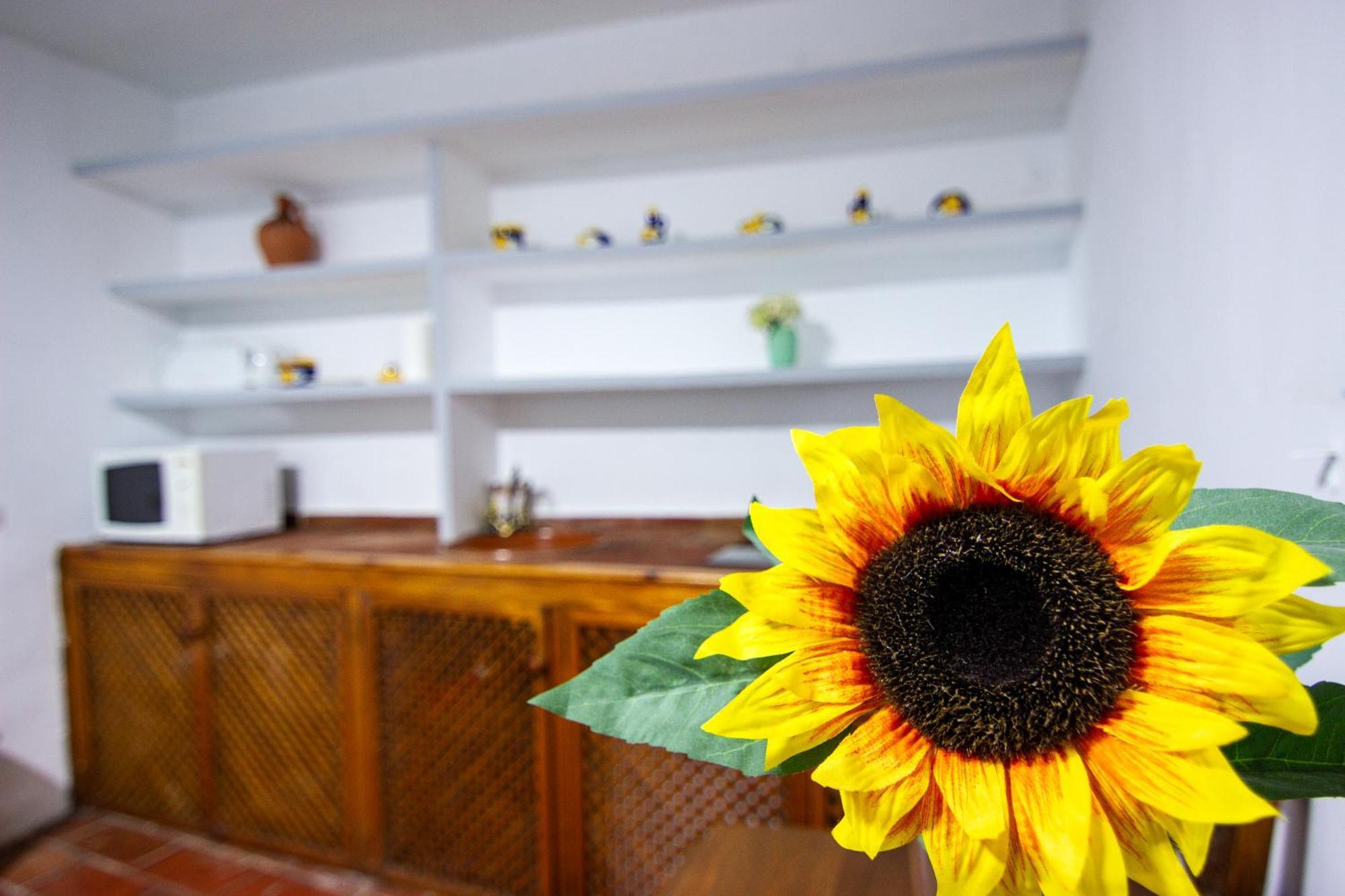 Rentalsevilla Un Oasis En El Centro De Appartement *
